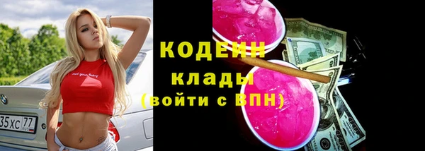 стаф Каменск-Шахтинский