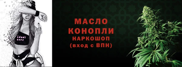 спайс Каменка