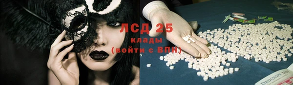 стаф Каменск-Шахтинский