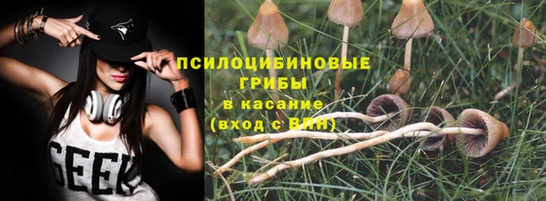 синтетический гашиш Каменногорск