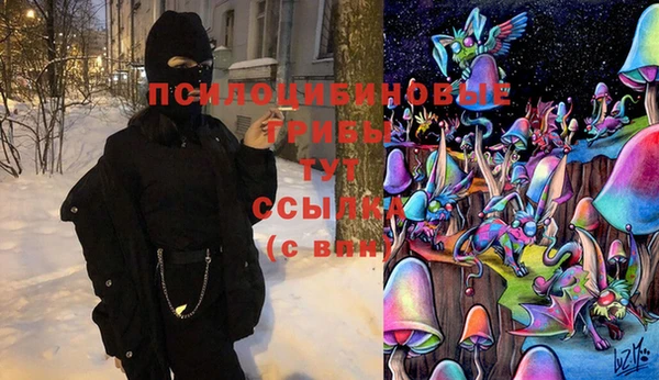 синтетический гашиш Каменногорск