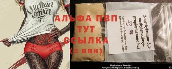 спайс Каменка