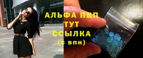 спайс Каменка