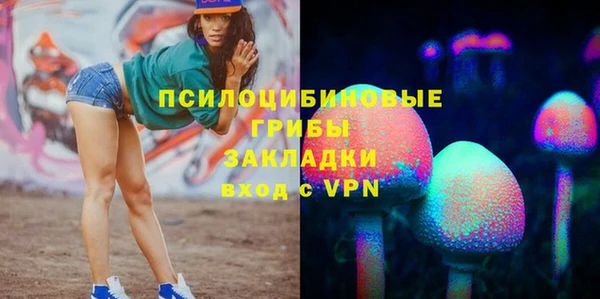спайс Каменка