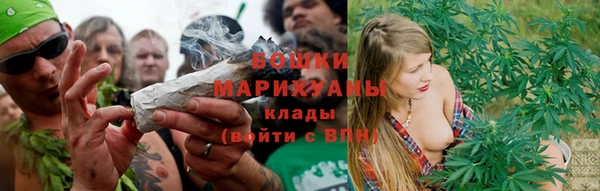 стаф Каменск-Шахтинский