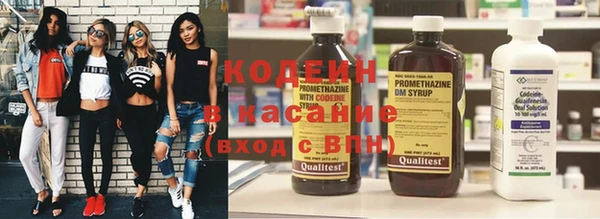 спайс Каменка