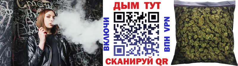 Купить  Бологое  Бошки марихуана SATIVA & INDICA 